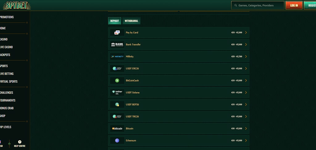 SpyBet Casino Payment Methods